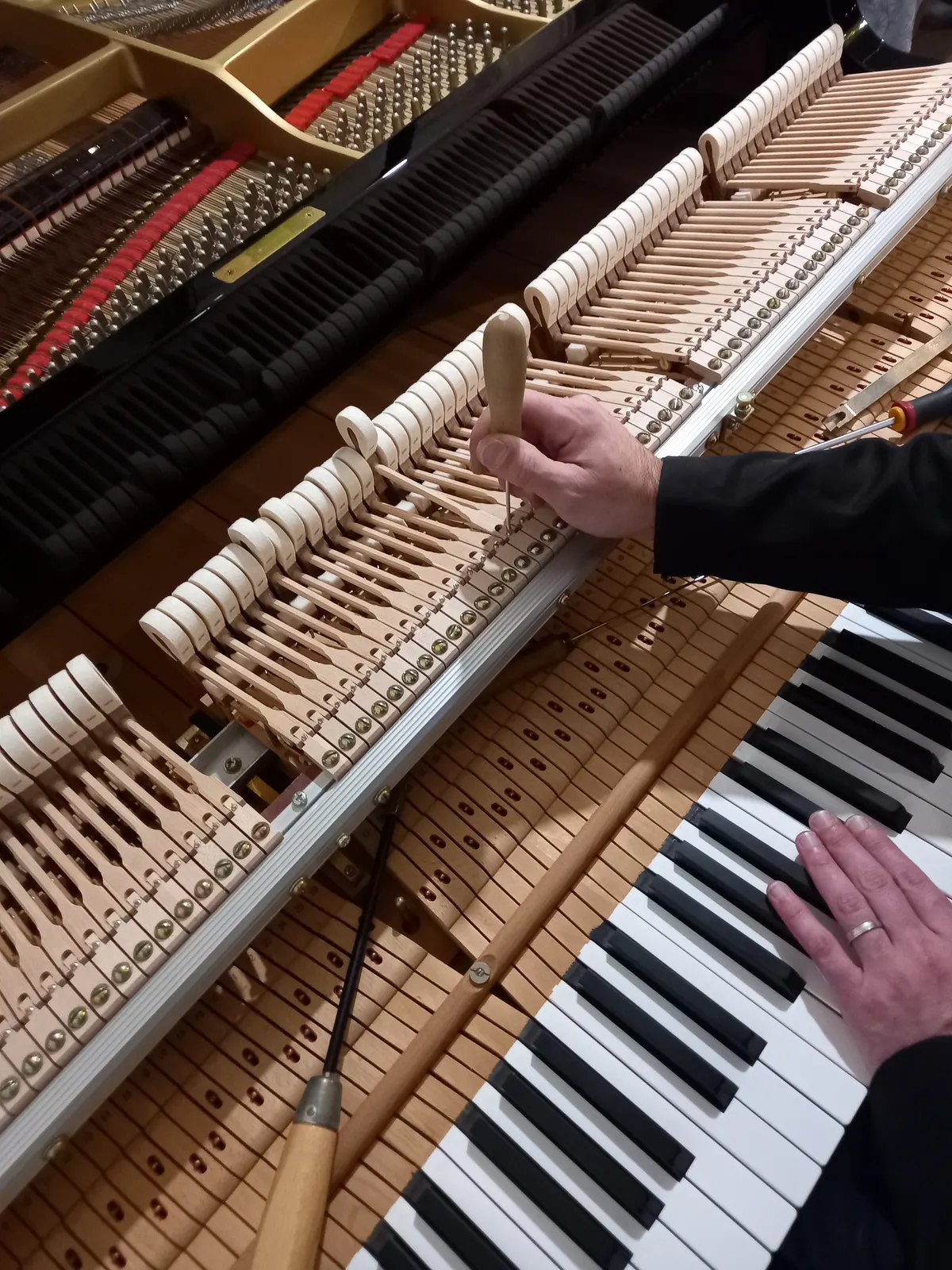 Réglage de la mécanique d'un piano droit, marteaux alignés au-dessus du clavier